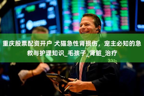 重庆股票配资开户 犬猫急性肾损伤，宠主必知的急救与护理知识_毛孩子_肾脏_治疗