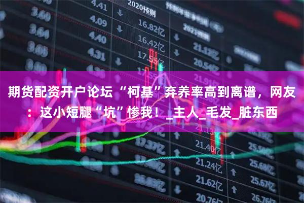 期货配资开户论坛 “柯基”弃养率高到离谱，网友：这小短腿“坑”惨我！_主人_毛发_脏东西